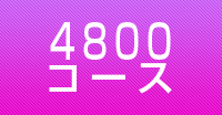 月額4800円コース